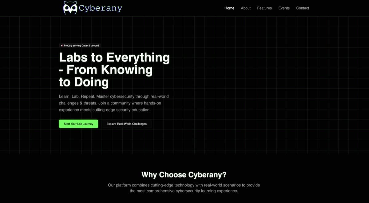 Cyberany